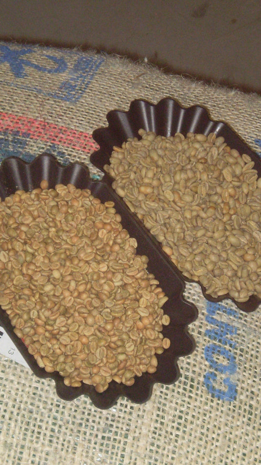 #3 Arabica vs Robusta