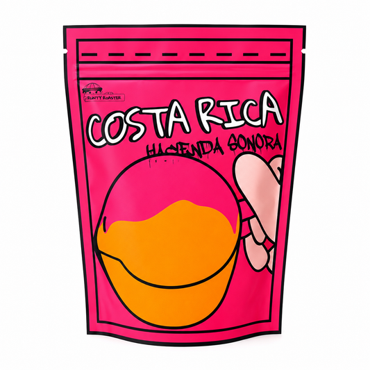Kostaryka Hacienda Sonora Natural
